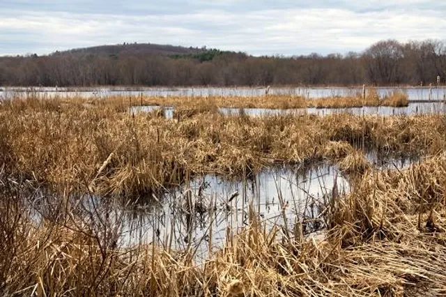 Great Meadows National Wildlife Refuge