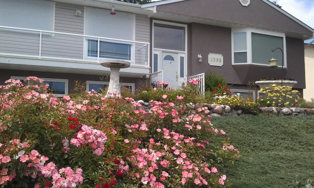 A View to Remember B&B