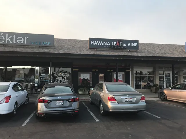 HAVANA LEAF AND VINE