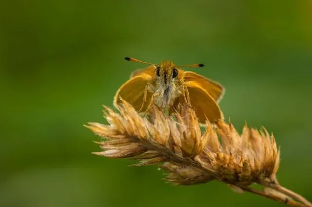 Dr Y S Rajasekhar Reddy Central park
