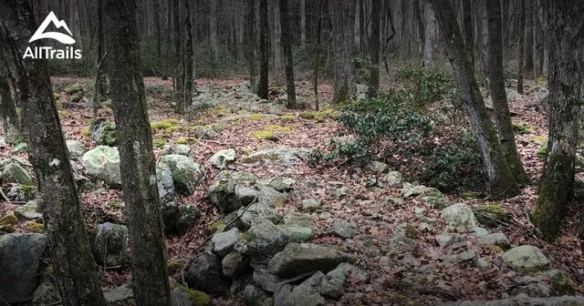 Cold Spring Township