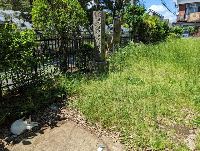 photo-2