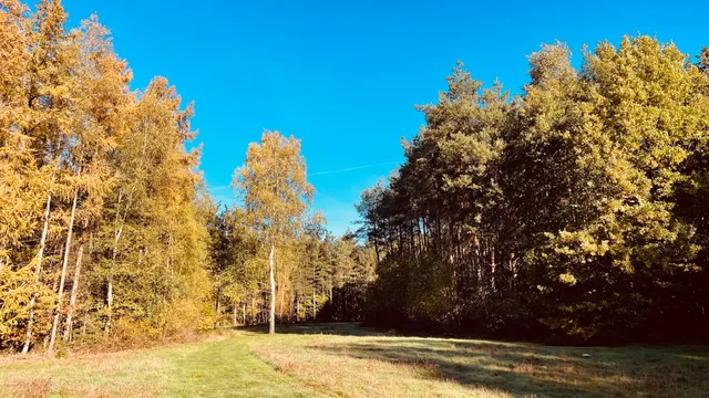 Archeologisch park de Rieten