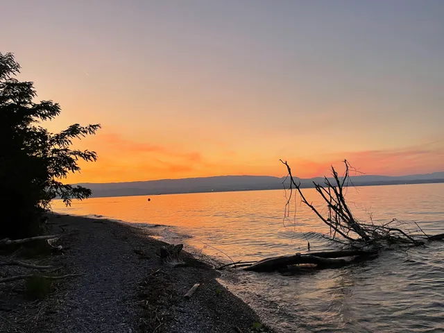 Réserve Naturelle du Delta de la Dranse