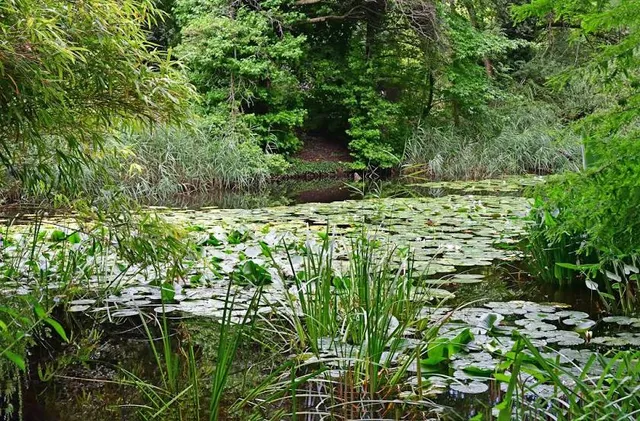 Botanical Gardens of Strasbourg University