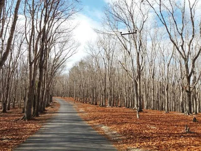 Taman Rekreasi Bu'at