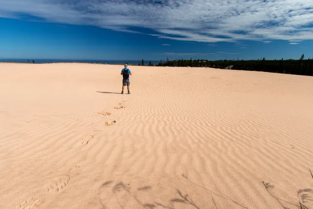 Athabasca Sand Dunes Provincial Park