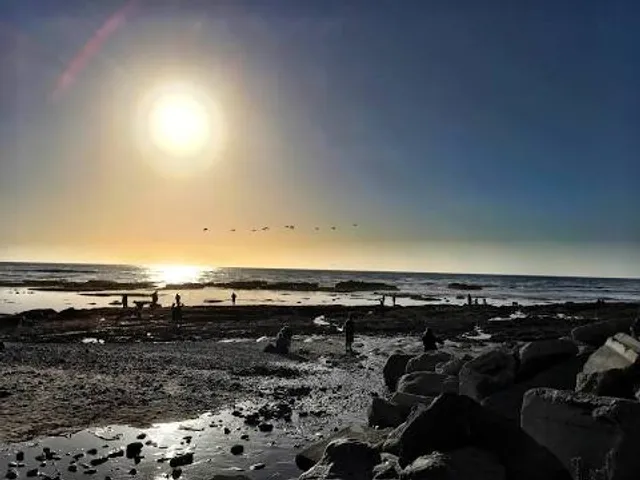 J V Fitzgerald Marine Reserve