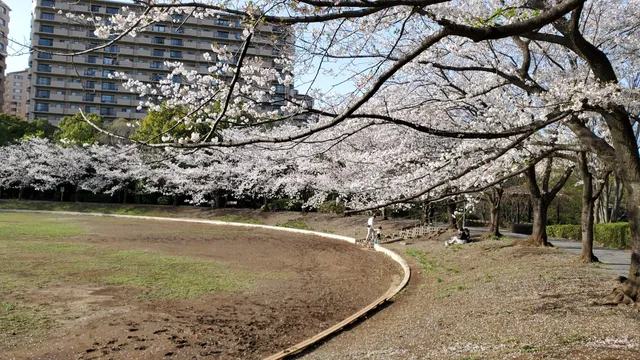 Yamazaki Park