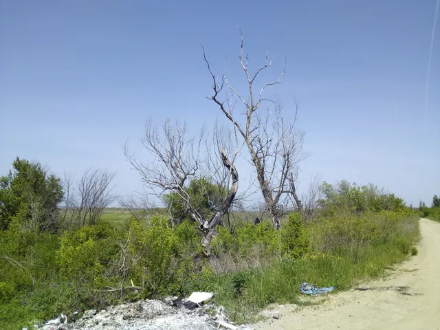photo-3