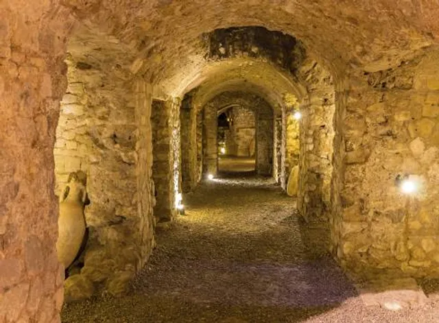 Roman Granary Museum