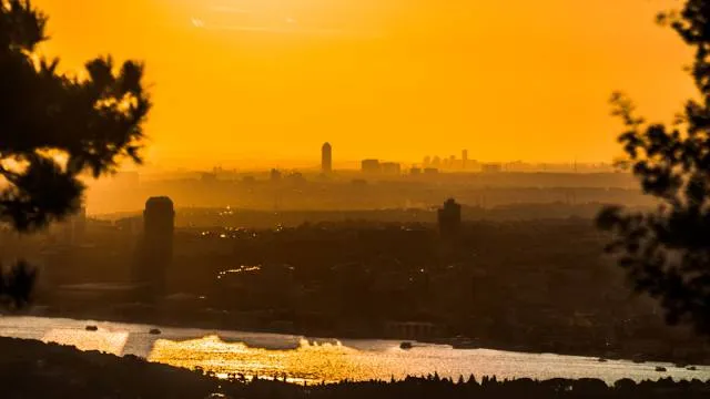 Uitkijktoren De Afferdense Duinen