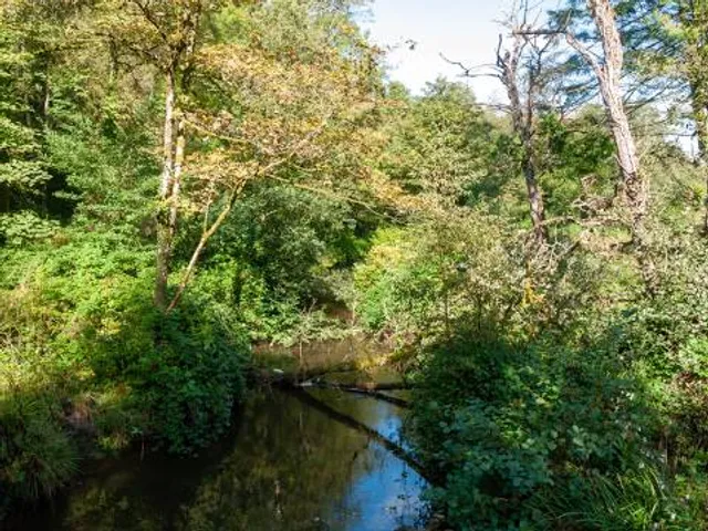 Penllergaer Valley Woods