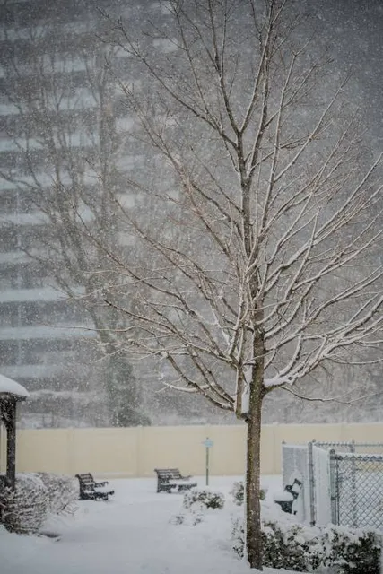 Château de Lysá nad Labem