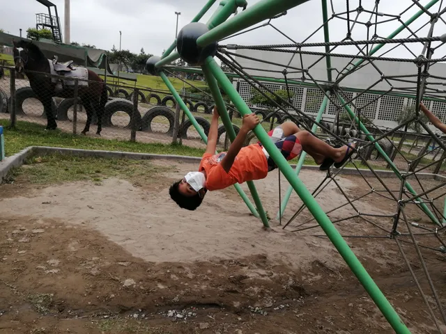 Club Zonal Flor de Amancaes