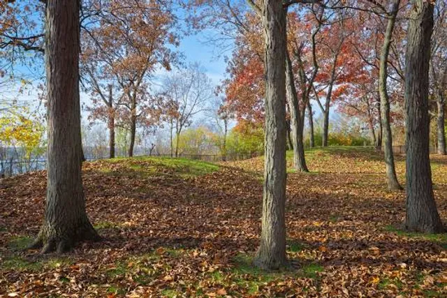 Sinnissippi Mounds Historic Site
