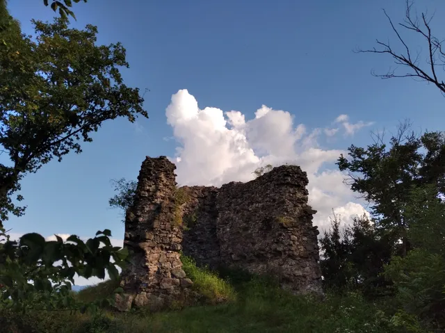 Korolevo Settlement Hromada