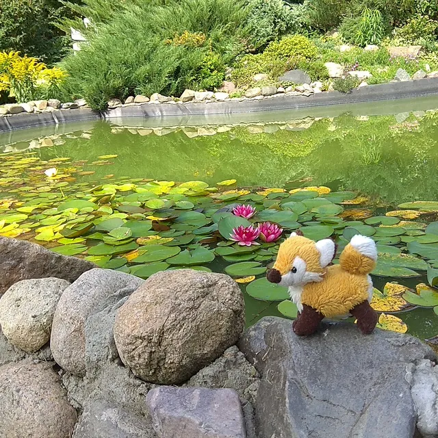 Botanicheskiy Sad Yagpu Im. K.d.ushinskogo