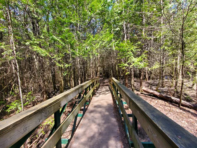 Proctor Park Conservation Area