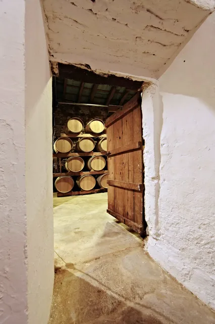 Bodega Ribas