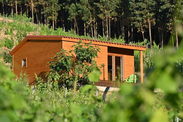 Quinta da Aldeia Nova