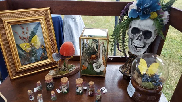 Florida Oddities Markets LLC