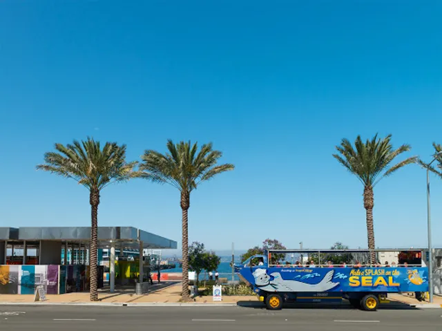 San Diego Seal Tour