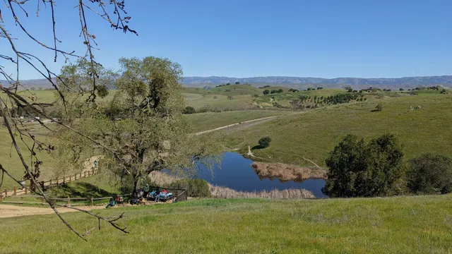 Main Entrance Picnic Area