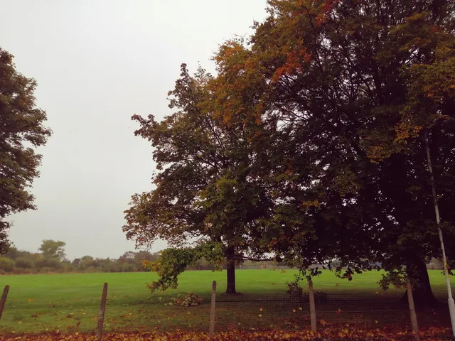 photo-2