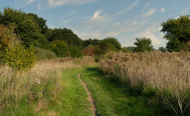 Ringsted Oplevelsessti, Staveds Bro
