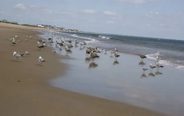 Salisbury Beach State Reservation