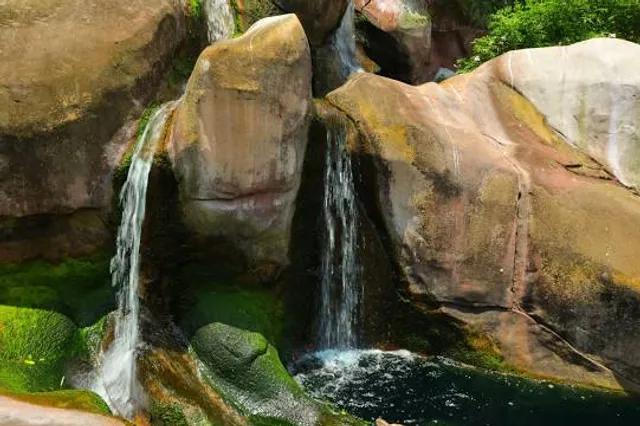 Jacksonville Zoo and Gardens