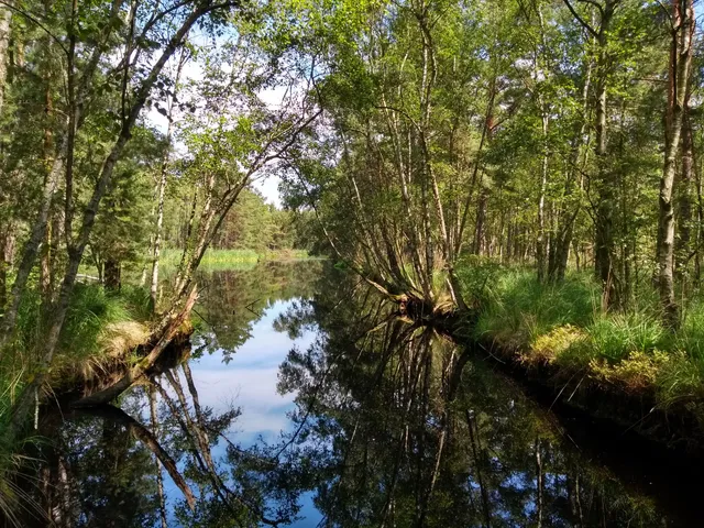 Infozentrum Wald u. Moor