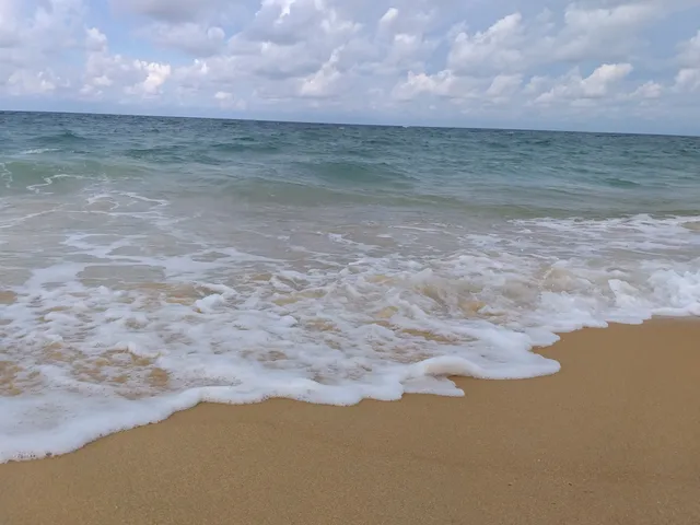 photo-1