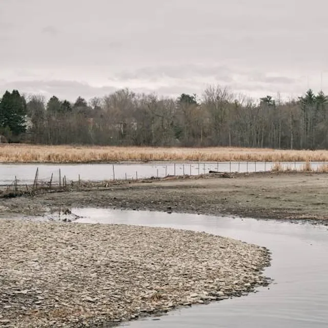 Rattray Marsh Conservation Area