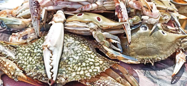 Shasti's Mobile Beach Shack