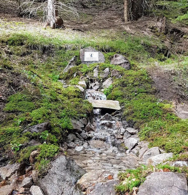 Извора на река Въча