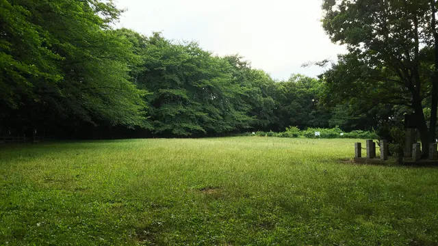 place image