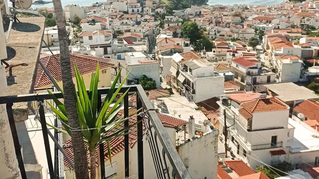 pansion konstantinos