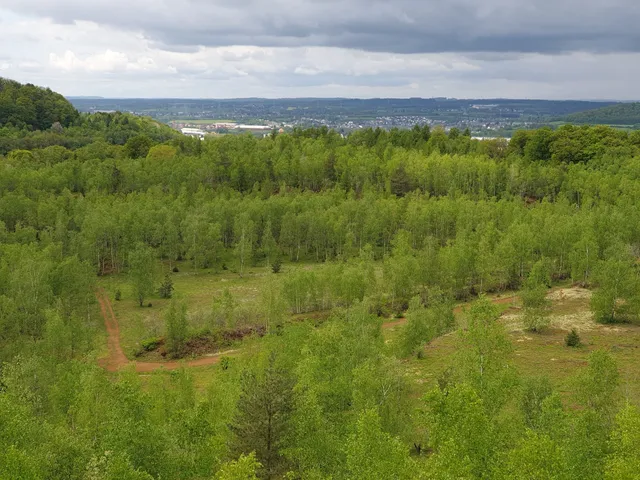 Sentier nature et forêt PRËNZEBIERG - GIELE BOTTER