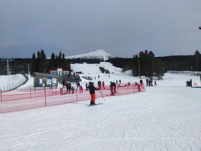 Lofsdalens Fjällanläggningar