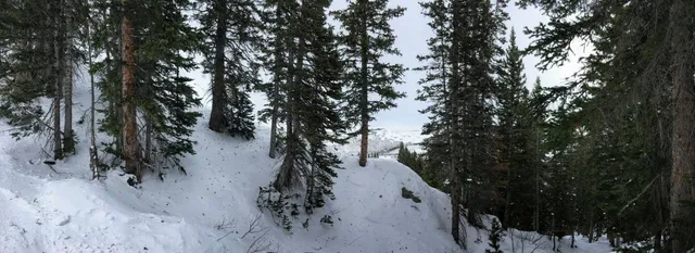 Canyon Ski Resort & Recreation Area Ltd.