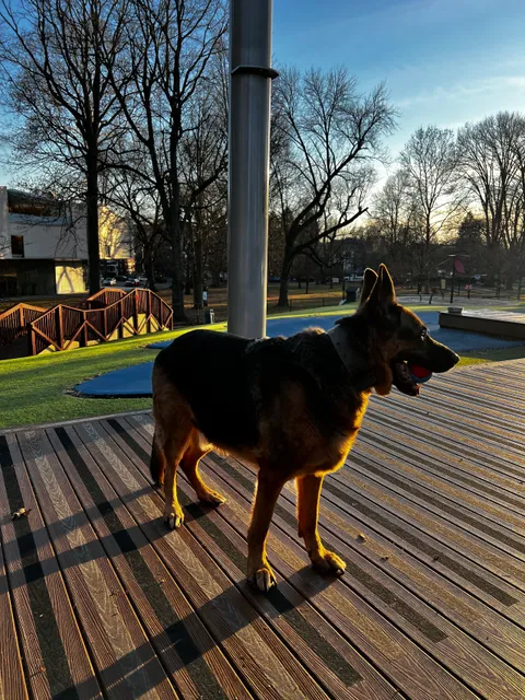 Beau’s Dream Dog Park