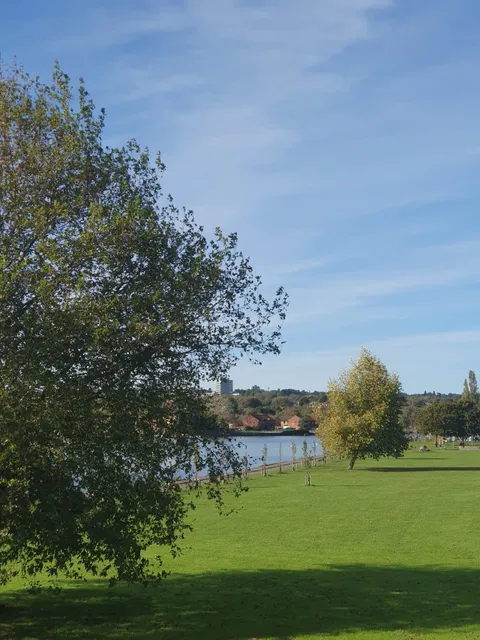 photo-1