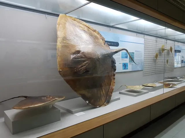 부산해양자연사박물관