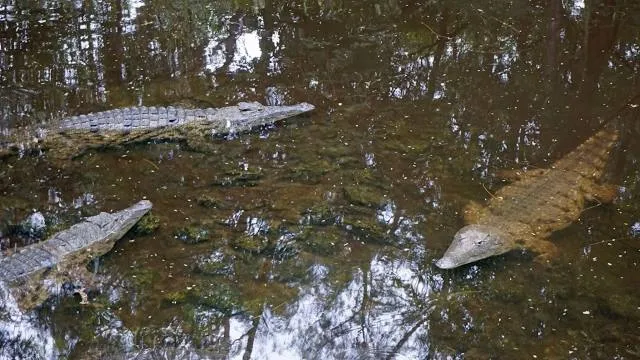 Gunpowder Creek Nature Park