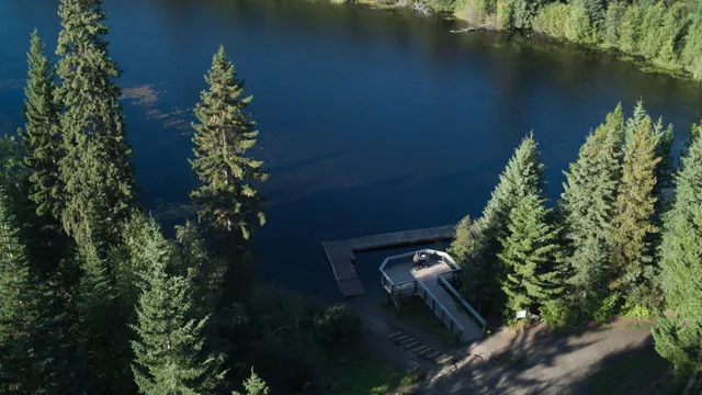 Forests for the World