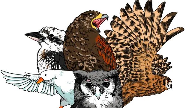 フカヤカチョウカフェ