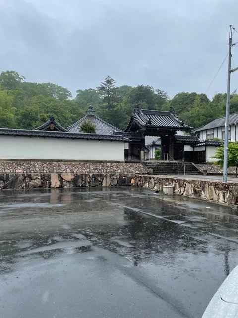 photo-1