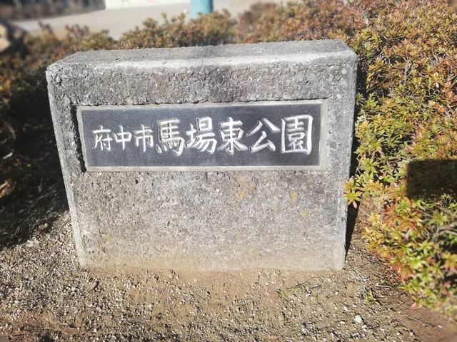 photo-2